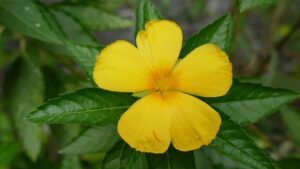 Image encoretheatremagazine.co.uk 2120 1746908149709